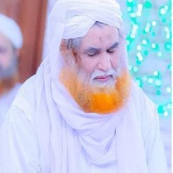 Maulana Muhammad Ilyas Attar Qadri Razavi