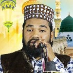 Faheem Raza Habibi